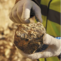 2019年欧洲标准化及相关活动在采矿与金属业金属矿石领域的进展